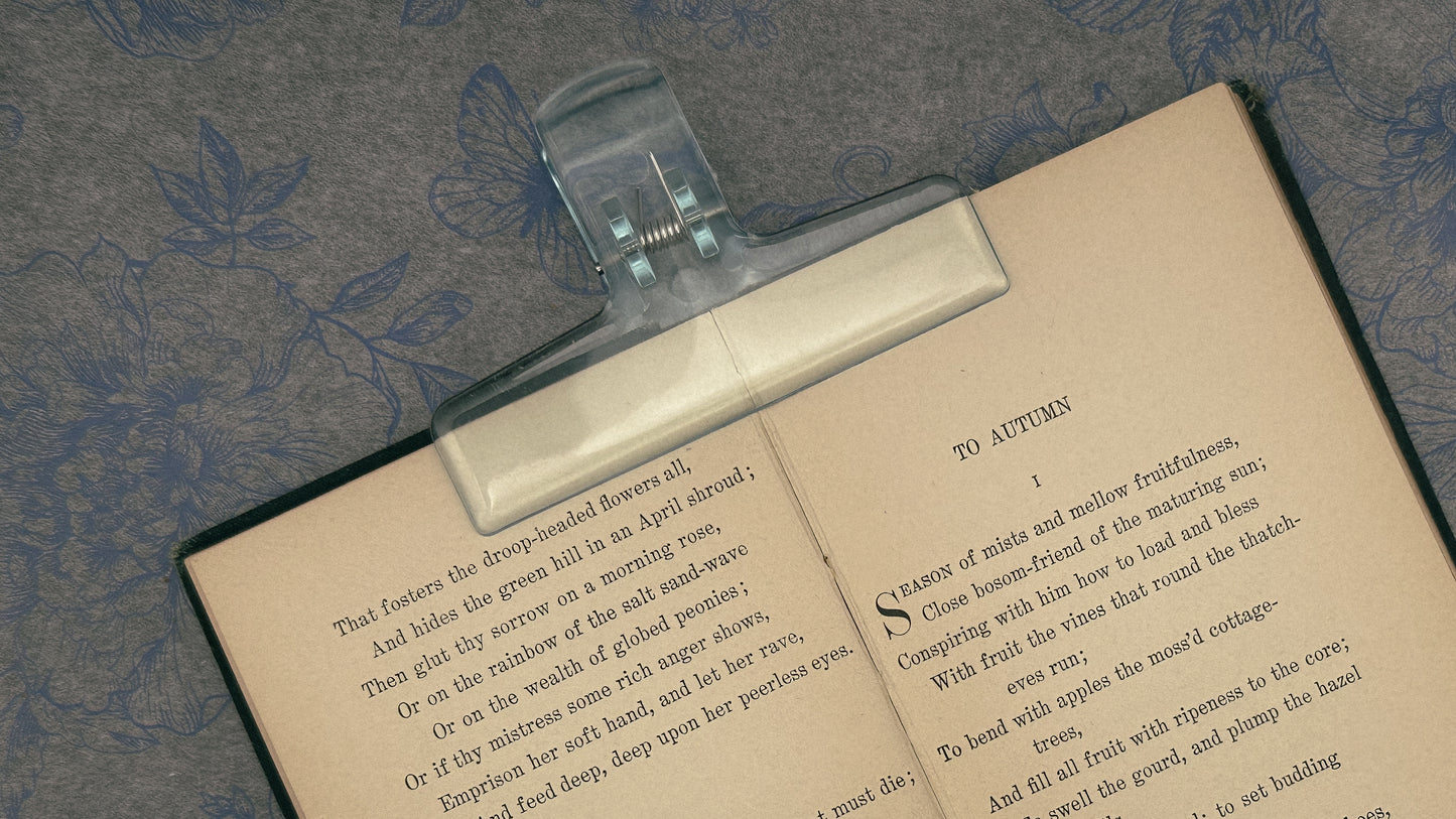 Miniature Bookkeeper Clips