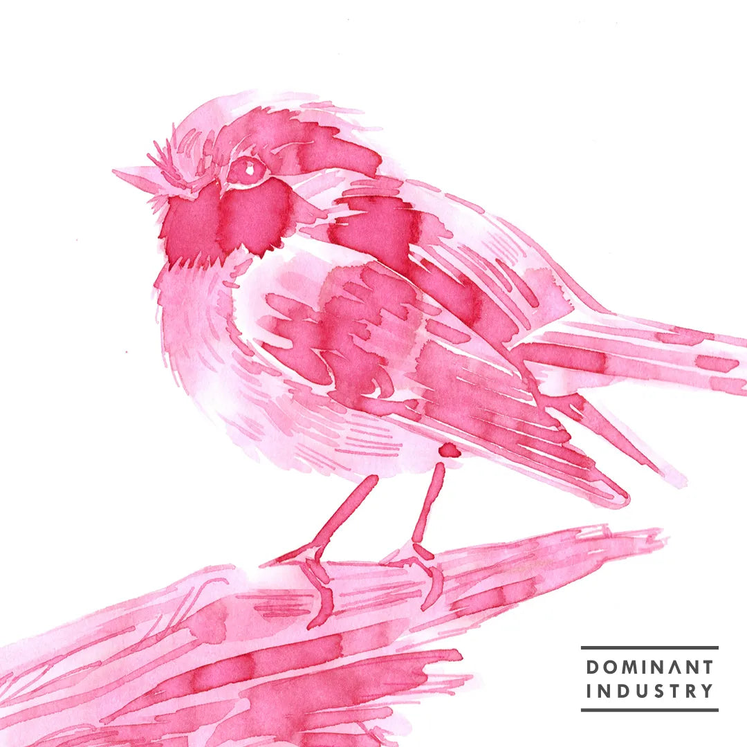 Pink Robin | Alchemist Dip Pen Ink