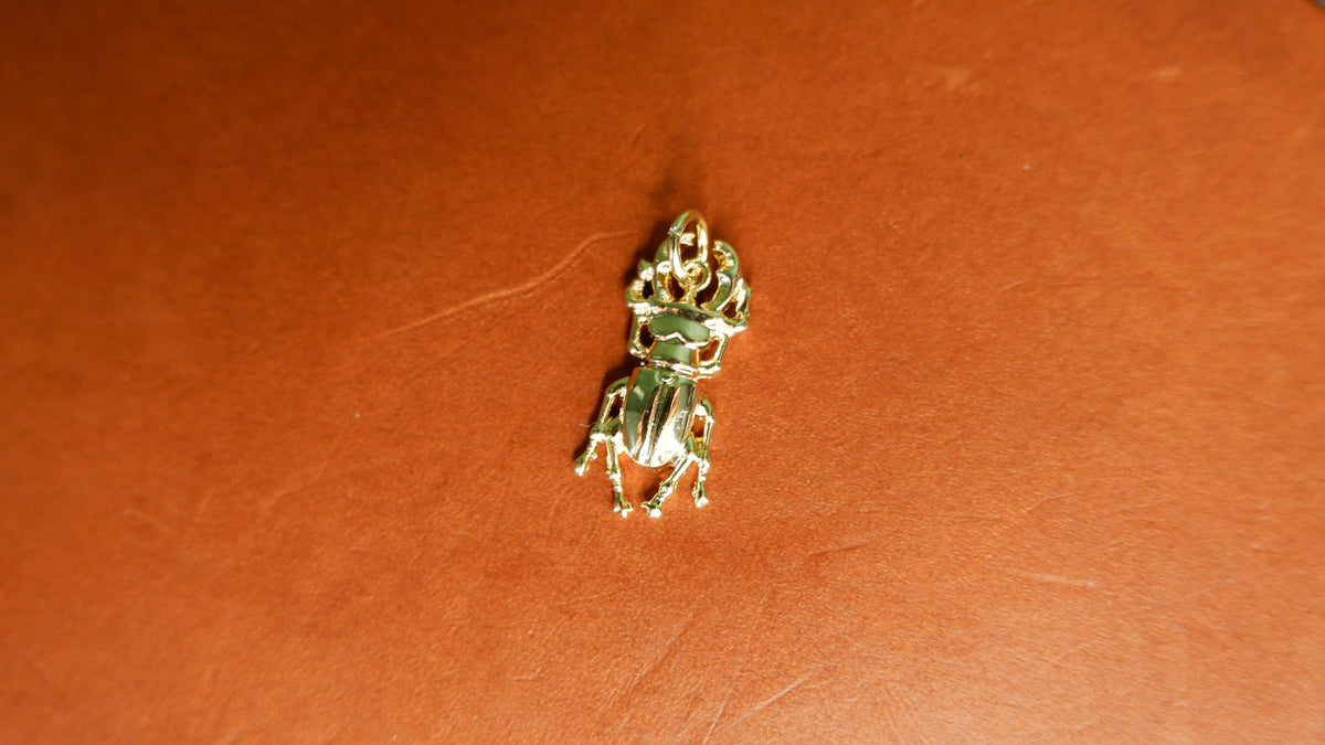 The Naturalist's Beetle Journal Charm