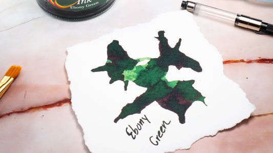 Ebony Green - Private Reserve Fountain Pen Ink