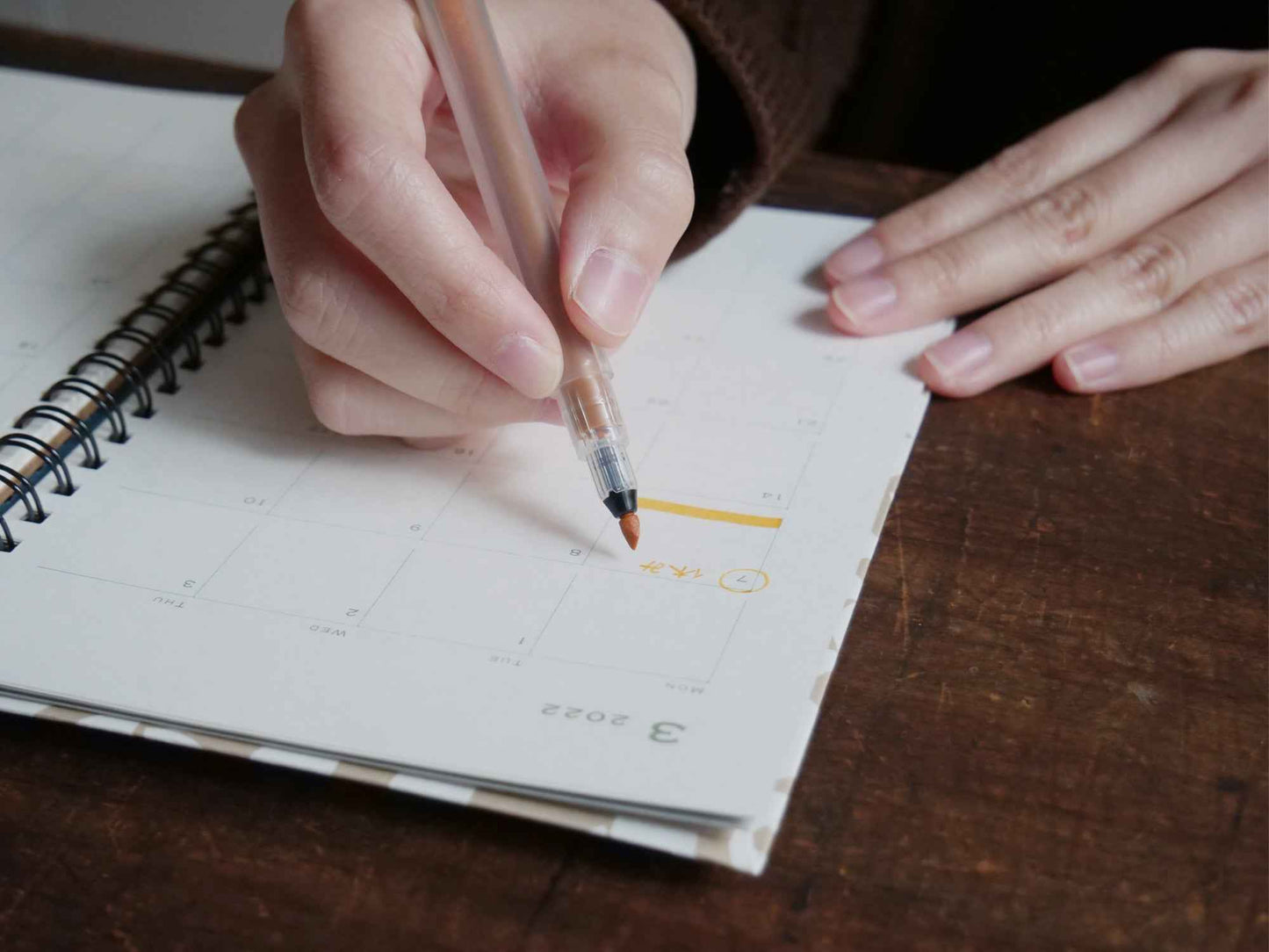 Color Liners - Kakimori