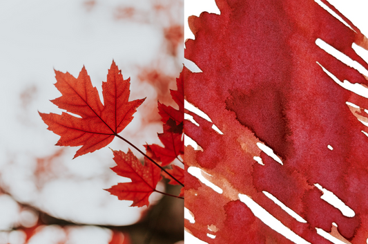 Maple - Dominant Industry Ink