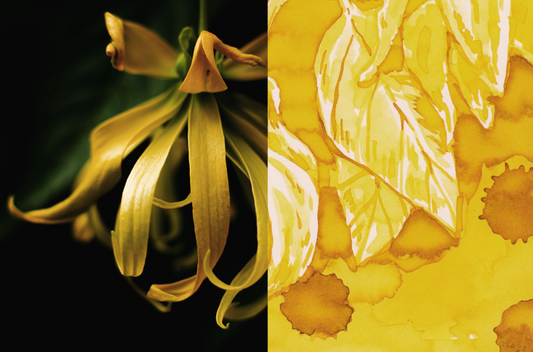 Ylang Ylang - Scented Dominant Industry Ink