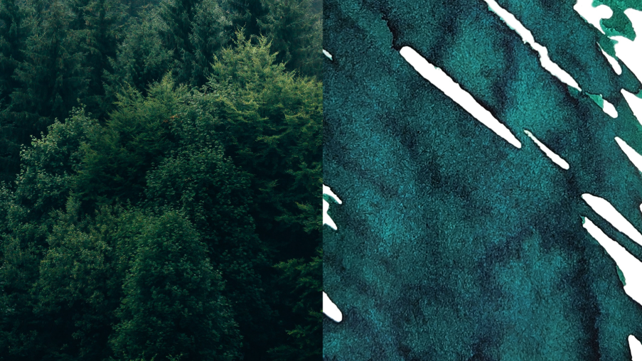 Forest - Dominant Industry Ink