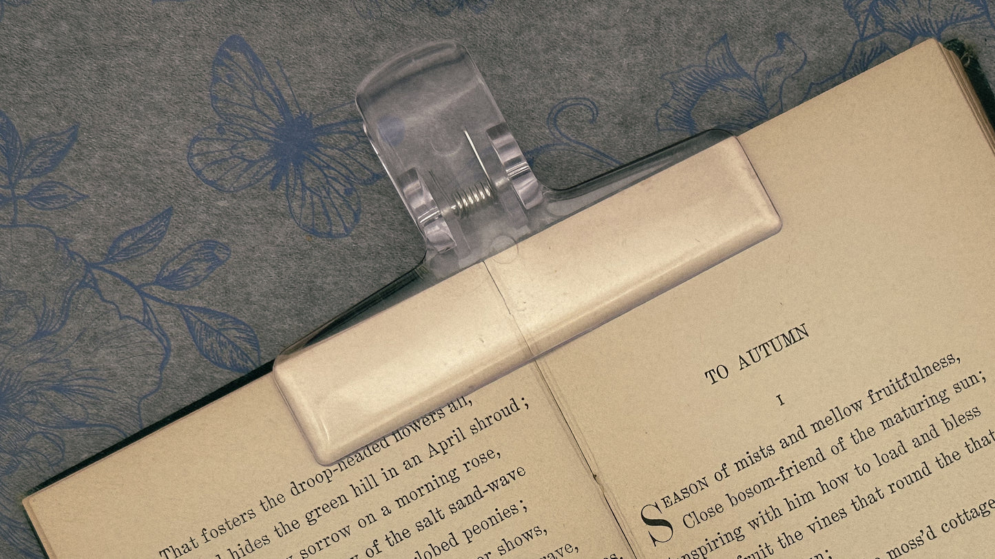 Miniature Bookkeeper Clips