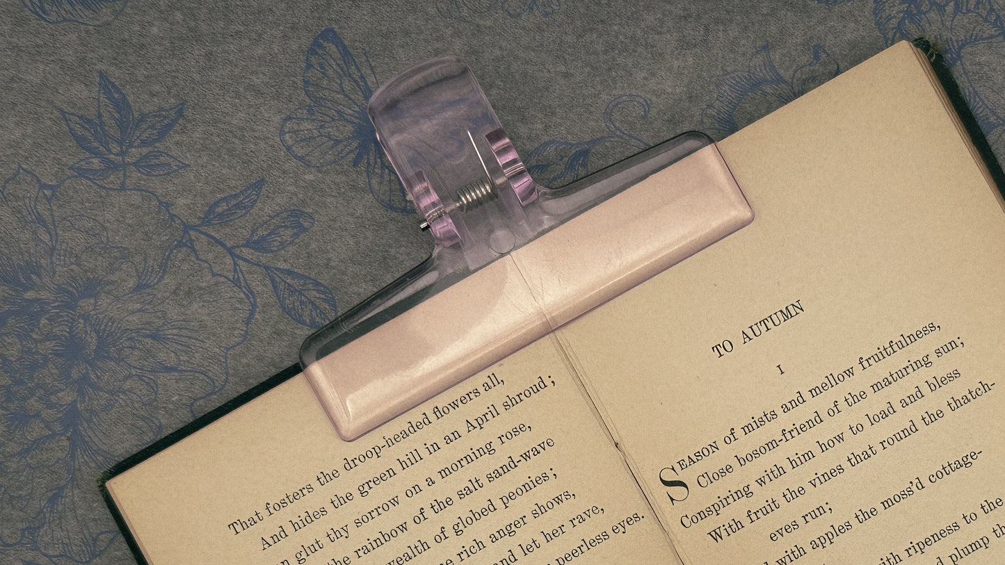 Miniature Bookkeeper Clips