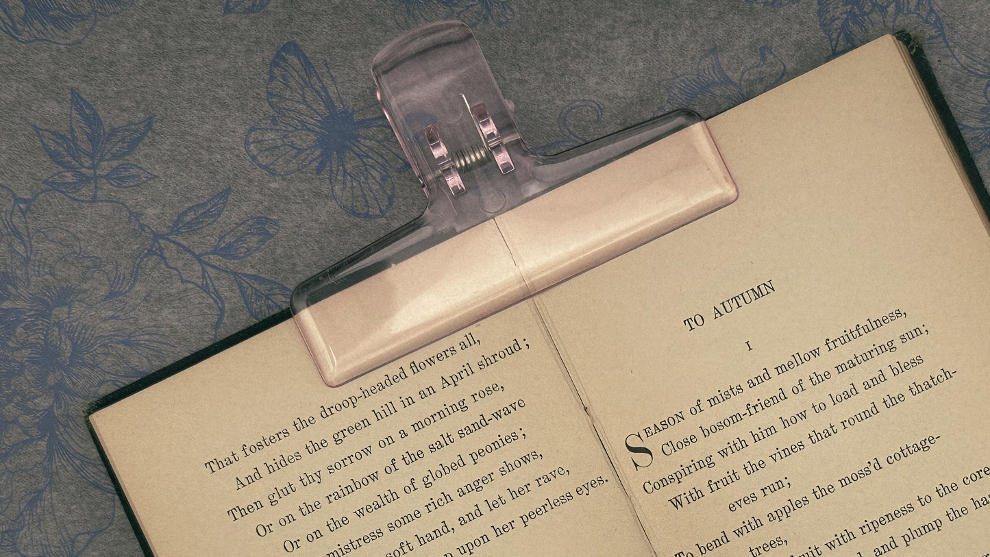 Miniature Bookkeeper Clips